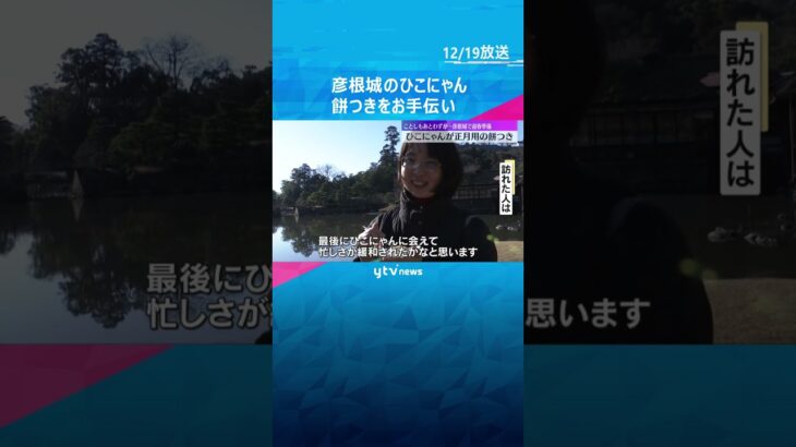 【迎春準備】「ひこにゃん」が正月用餅つきのお手伝い　観光客にきな粉餅のおもてなしも　国宝・彦根城#shorts #読売テレビニュース