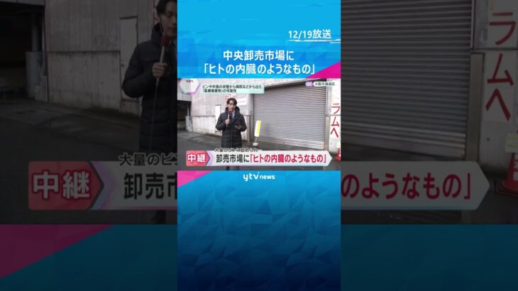 中央卸売市場で大量のビンに詰められた「ヒトの内臓のようなもの」　病院などから出た「医療廃棄物」か#shorts #読売テレビニュース