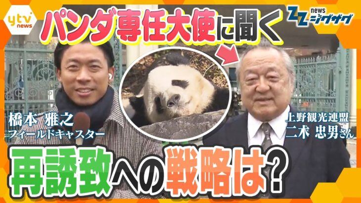 “パンダゼロ頭時代”…“パンダ専任大使”に聞く再誘致への戦略【ニュース ジグザグ】