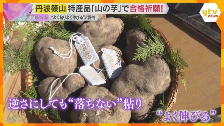 「成績“伸ばし、粘り強く”合格をつかんで」特産品『山の芋』で受験生を応援　兵庫・丹波篠山市