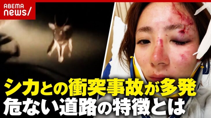 【ロードキル】シカが車激突…危ない道路は「見通し良いのにブレーキ痕…」大怪我負った女性「iPhoneに救われた」｜ABEMA的ニュースショー