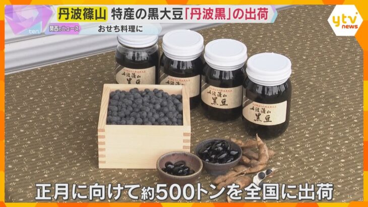 おせち料理の定番“黒いダイヤ”　丹波篠山市特産の黒大豆「丹波黒」出荷　粒大きく、甘みとコクが特徴