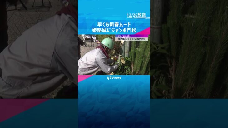 【迎春準備】世界遺産・姫路城にジャンボ門松　高さ5メートルの松の木に鮮やかな正月の縁起物飾り付け　#shorts　#読売テレビニュース
