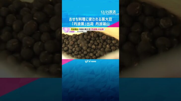 おせち料理の定番“黒いダイヤ”　丹波篠山市特産の黒大豆「丹波黒」出荷　粒大きく、甘みとコクが特徴　#shorts　#読売テレビニュース