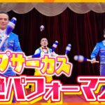 スゴ技連発！「ポップサーカス」の超絶パフォーマンスを生リポート【ZIP!かんさい】