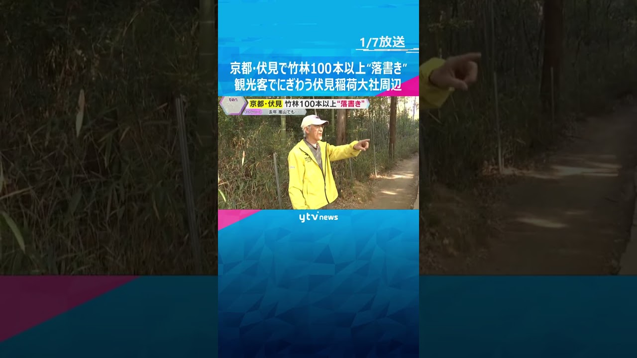 京都・伏見で竹林100本以上“落書き”　多くの観光客でにぎわう「千本鳥居」の伏見稲荷大社周辺　#shorts　#読売テレビニュース