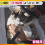 “ネコの駅長”で知られる貴志駅の3代目駅長は「よんたま」　新しいネコ社員もお披露目　和歌山電鉄