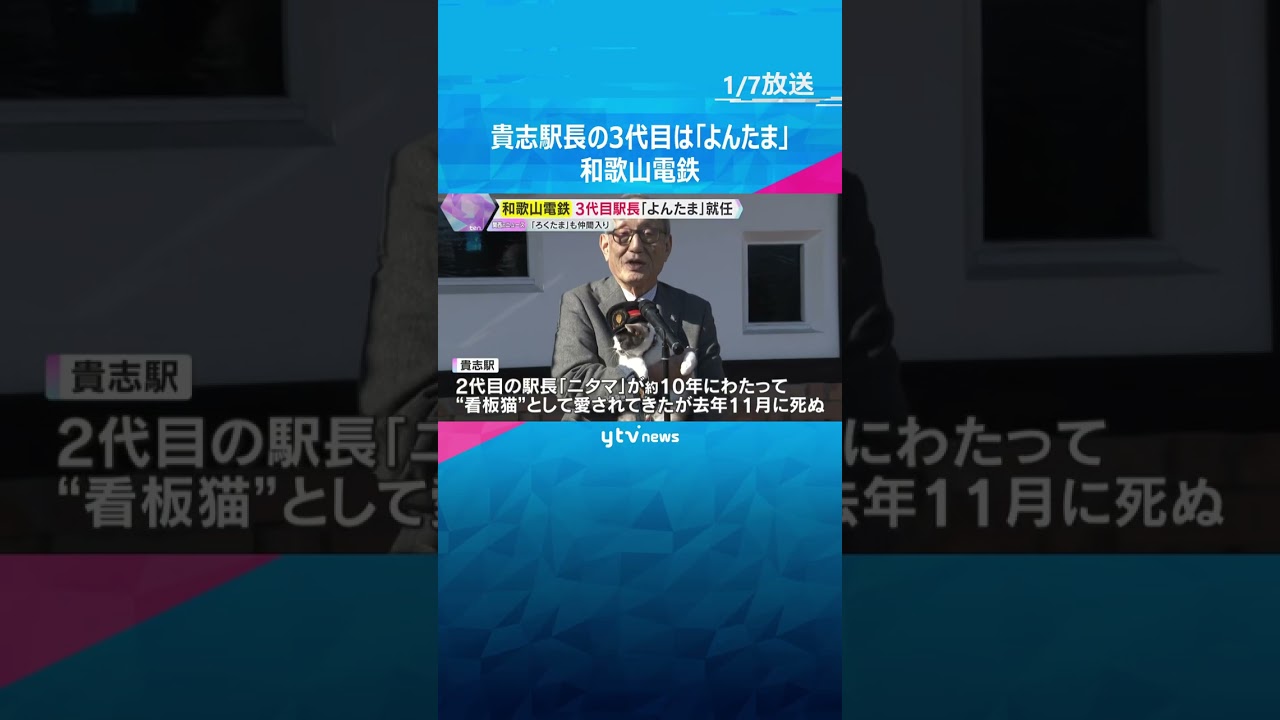“ネコの駅長”で知られる貴志駅の3代目駅長は「よんたま」　新しいネコ社員もお披露目　和歌山電鉄　#shorts　#読売テレビニュース