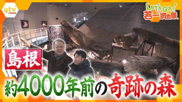 【若一調査隊】島根県 約4000年前の巨木が残る「三瓶小豆原埋没林公園」とは？