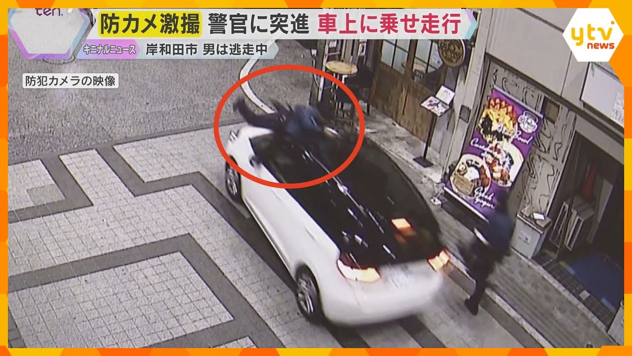 【激撮】警察官に車が突進、ボンネットに乗せて700ｍ走行し振り落とされケガ　男は逃走中　岸和田市