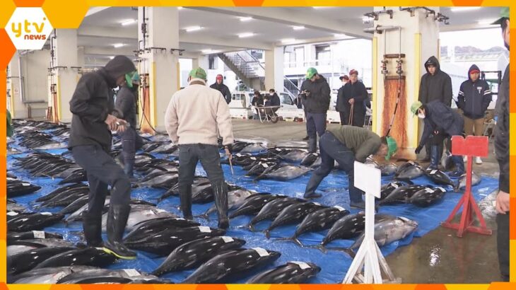 新春恒例初セリ　生マグロ水揚げ日本一の和歌山・勝浦漁港「例年より少なめも、鮮度の良い魚全国に」