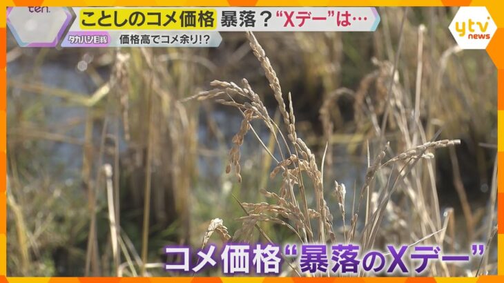 ことしのコメ価格はどうなる…「高値」が続いていたコメの価格が暴落？消費が鈍り“コメが余る”事態も