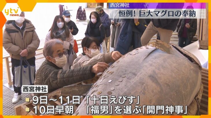 特大マグロを奉納　「１万円貼りました」さい銭を貼りつけると『お金が身につく』　兵庫・西宮神社　　