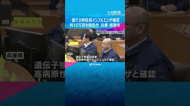 「通常より多くのニワトリが死んでいる」兵庫県で今季2例目の鳥インフル　約15万羽を殺処分　姫路市　#shorts　#読売テレビニュース