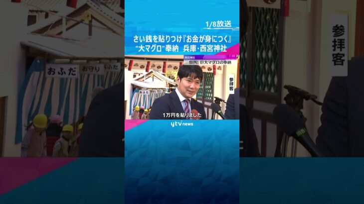 特大マグロを奉納　「１万円貼りました」さい銭を貼りつけると『お金が身につく』　兵庫・西宮神社　#shorts　#読売テレビニュース