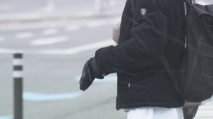 近畿今季一番の寒気　和歌山市内では吹雪