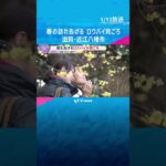春の訪れ告げる「ロウバイ」　ろう細工のような光沢の黄色い花見ごろで甘い香り漂う　滋賀・近江八幡市　#shorts #読売テレビニュース