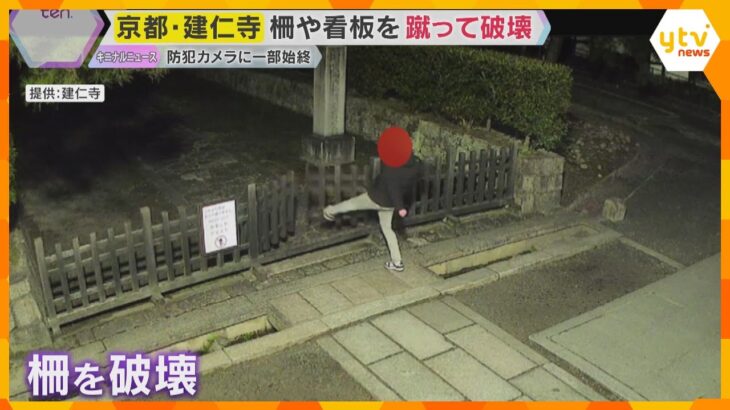 【防犯カメラ】深夜に立て看板や柵などを蹴って破壊する姿　「残念な気持ち」京都最古の禅寺・建仁寺　