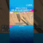 【防犯カメラ】深夜に立て看板や柵などを蹴って破壊する姿　「残念な気持ち」京都最古の禅寺・建仁寺　#shorts　#読売テレビニュース