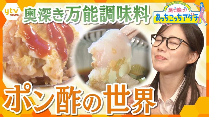 冬の京都で飲み歩き！万能調味料「ポン酢」の魅力を徹底調査！意外なアレンジレシピも【かんさい情報ネット ten.あっちこっちアダチ】