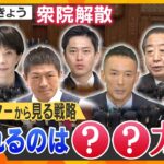 【ヨコスカ解説】衆議院解散　各党ポスターから見る選挙の戦略　問われるのは「〇〇力」？【かんさい情報ネットten./ヨコスカ目線】