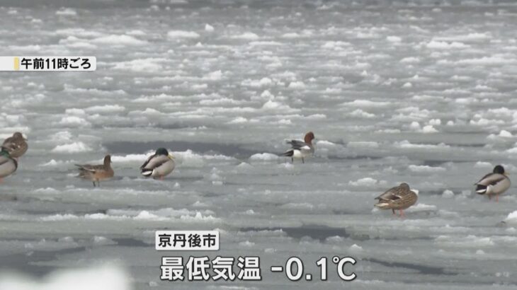 近畿大雪ピーク過ぎる　久美浜の水面凍る