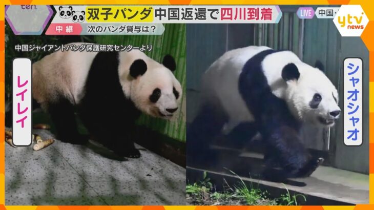 双子パンダ「シャオシャオ」「レイレイ」中国に到着　ついに日本国内『パンダゼロ』に　今後の貸与は？