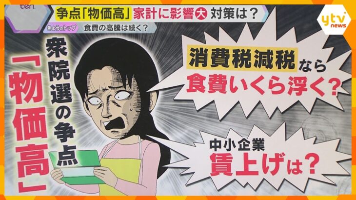 衆院選の争点『物価高対策』食費が家計直撃…子育て世帯の節約術　消費税減税で暮らしは本当に変わる？