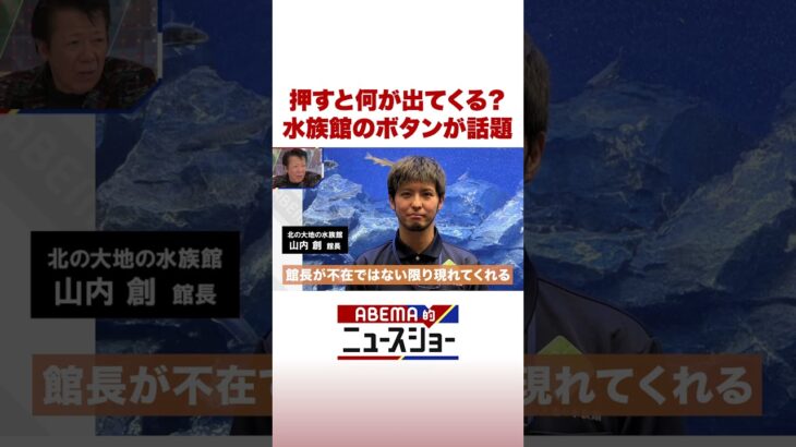 押すと何が出てくる？ 水族館のボタンが話題 #ABEMA的ニュースショー #Shorts