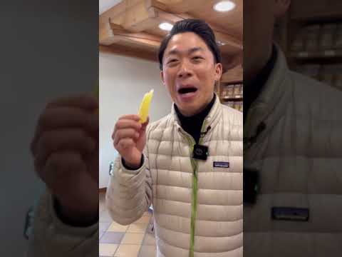 ジャンプ競技会場プレダッツォの地元特産・チーズ工場に潜入　#読売テレビニュース #ミラノコルティナ五輪 #ミラノコルティナオリンピック #milanocortina2026