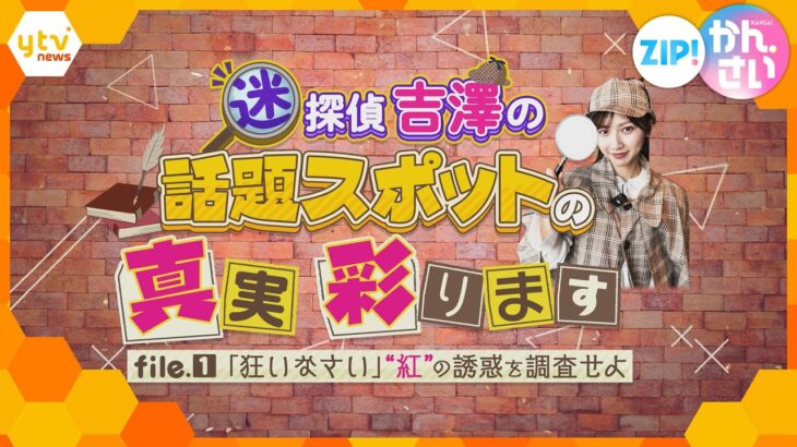 “迷”探偵吉澤の「話題スポットの真実、彩ります」　file①「狂いなさい」“紅”の誘惑を調査せよ　【ZIP!かんさい】