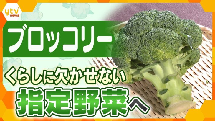 ブロッコリーが４月から指定野菜に　何が変わる？【かんさい情報ネット ten.特集】