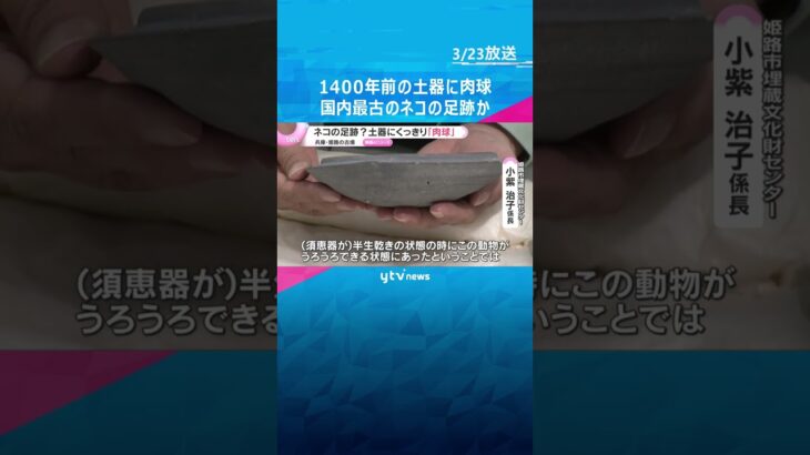 約1400年前の土器にくっきり残る肉球…国内最古のネコの足跡の可能性　土器乾かす横をウロウロ？　#shorts　#読売テレビニュース