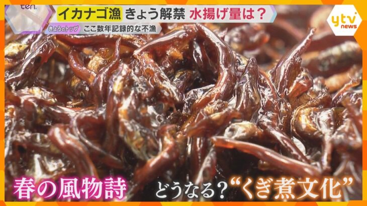 【解説】播磨灘でイカナゴ漁が17日解禁も明日(18日)で終了、記録的不漁続く　今年の水揚げ量は？