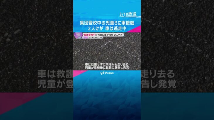 集団登校の児童に車接触、2人けが　黒い車が現場から逃走　ひき逃げ事件として捜査　滋賀・近江八幡市　#shorts #読売テレビニュース