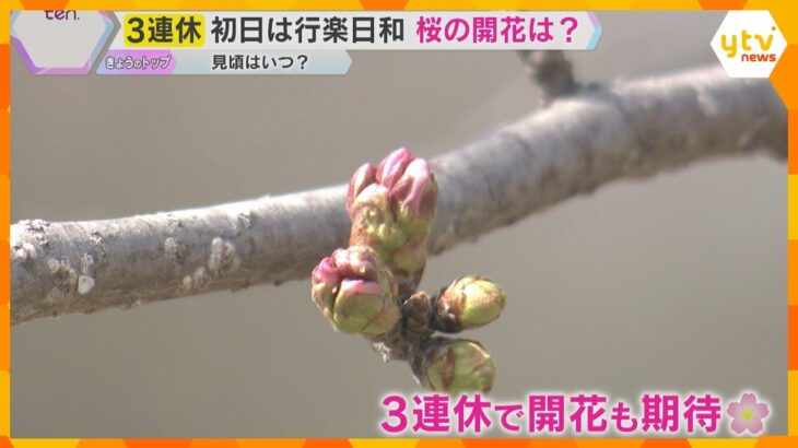【3連休】関西各地は絶好のお出かけ日和も桜はまだつぼみ　去り行く冬を惜しむイベント、春本番を告げる桜の開花状況は？