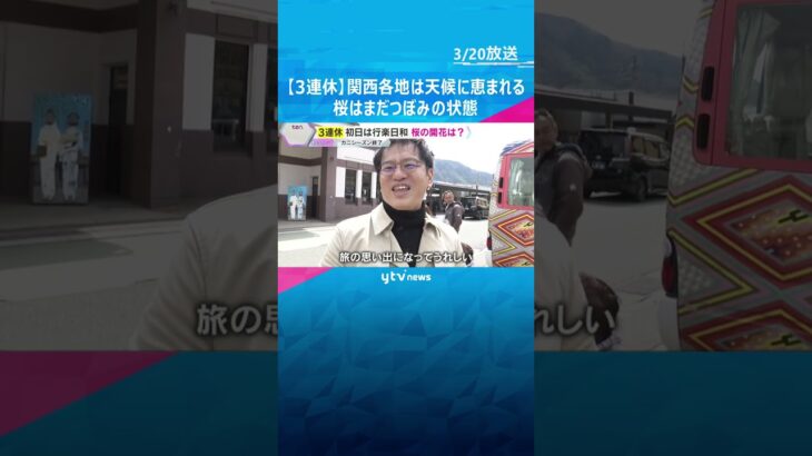 【3連休】関西各地は絶好のお出かけ日和も桜はまだつぼみ　去り行く冬を惜しむイベント、春本番を告げる桜の開花状況は？　#shorts #読売テレビニュース