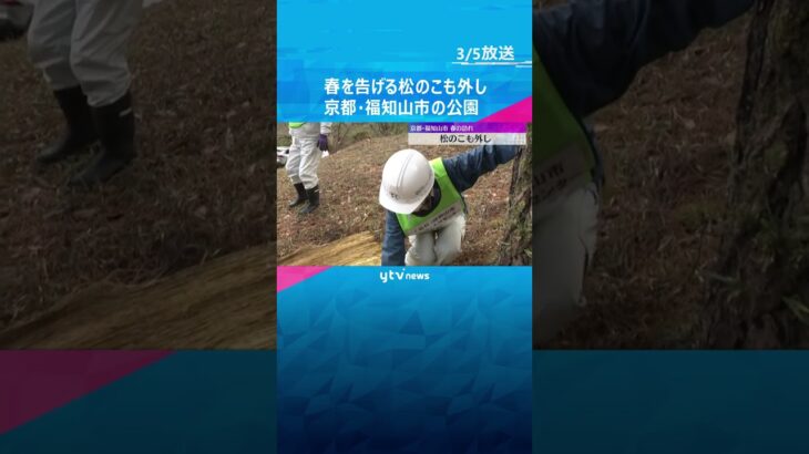 5日は『啓蟄』京都・福知山の公園で松の「こも外し」　害虫を駆除する伝統的な手法　春告げる風物詩　