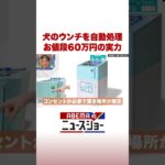 犬のウンチを自動処理 お値段60万円の実力 #ABEMA的ニュースショー #Shorts