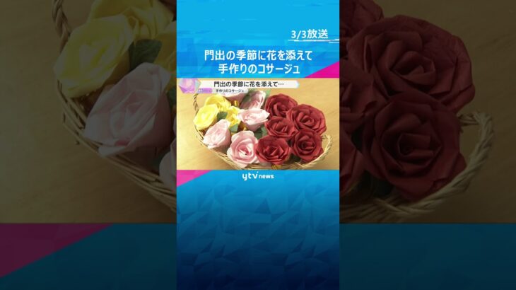 門出の季節　入学式や卒業式で生徒たちの胸を飾るバラのコサージュ作り　京都・福知山市 #shorts　#読売テレビニュース