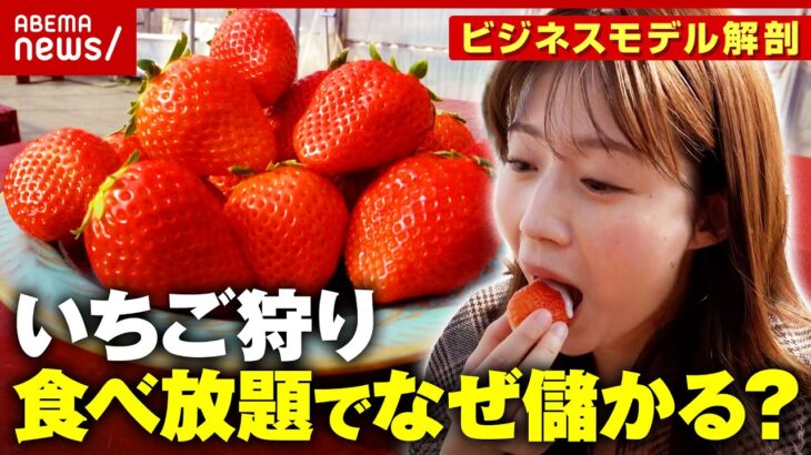 【いちご狩り】なぜ「食べ放題」で儲かる？何個食べたら元が取れる？農家が明かすビジネスモデルの裏側｜ABEMA的ニュースショー
