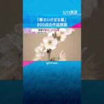 華道の家元・池坊「春のいけばな展」　全国で活動する華道家の生け花など800点展示　3月16日まで#shorts #読売テレビニュース
