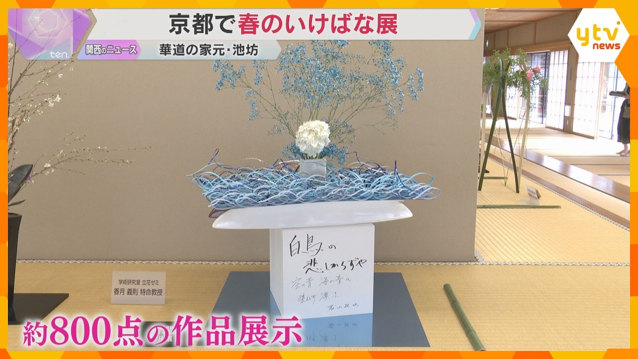 華道の家元・池坊「春のいけばな展」　全国で活動する華道家の生け花など800点展示　3月16日まで
