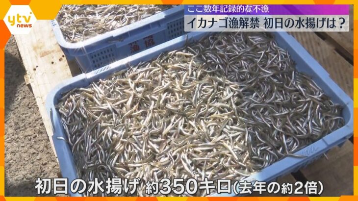 「ひとまず漁を始められてよかった」春の風物詩「イカナゴ漁」解禁　記録的な不漁続き先行きには不安も