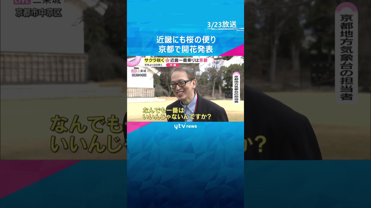 「なんでも一番はいい」京都で桜の開花発表　平年より3日早く近畿で一番乗り　満開は4月1日ごろ　#shorts　#読売テレビニュース