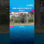 【中継】奈良から来た？大阪市内に居座るシカ　今どこに？受け入れ先など今後の対応は？　 #shorts　#読売テレビニュース