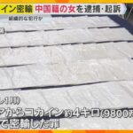 宝石写真カタログに隠した不織布84枚にコカイン4キロ染み込ませ密輸　中国人の女を逮捕・起訴