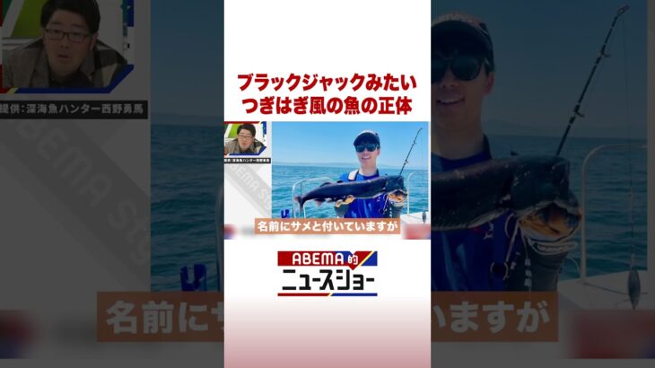 ブラックジャックみたい つぎはぎ風の魚の正体 #ABEMA的ニュースショー #Shorts