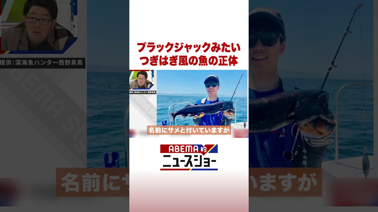 ブラックジャックみたい つぎはぎ風の魚の正体 #ABEMA的ニュースショー #Shorts