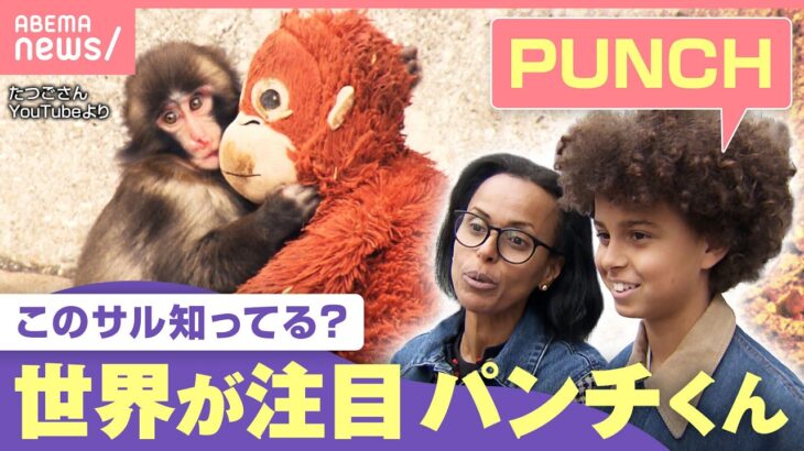 【世界が夢中】SNSで一気に拡散“子ザル・パンチくん”大バズりに写真撮影者は「尋常じゃない“いいね数”…ちょっと怖さも」｜わたしとニュース